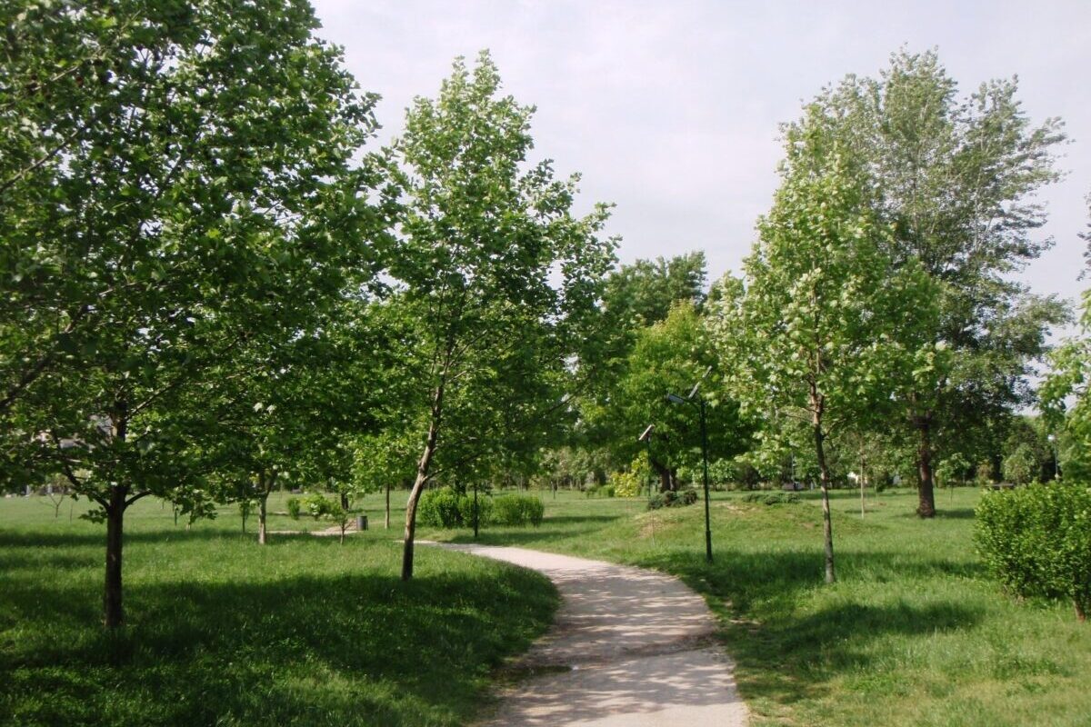 Parcul Izvor din București ar putea purta numele Nadia Comăneci